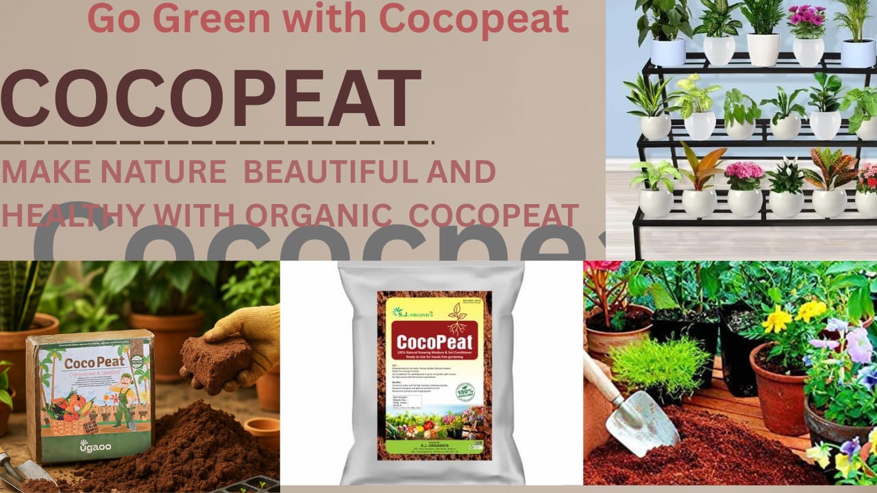 Cocopeat Template 1