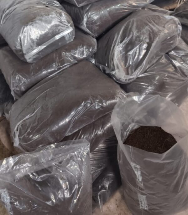 Pure cocopeat. Powerful results." 2025
